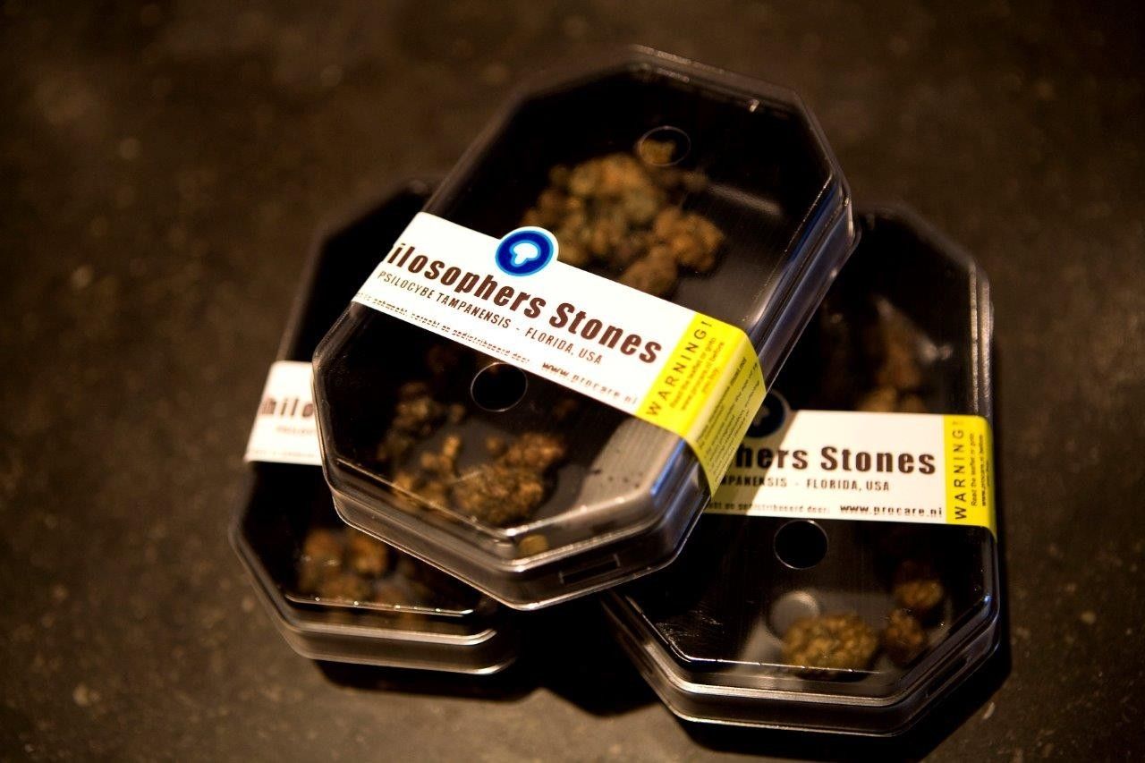 ‘Magic’ mushrooms are safer than alcohol, study finds  