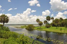 DEP tries to calm Myakka waters via Sarasota Herald