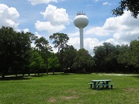 Exotic Plants to be Removed from N. Water Tower Park Starting June 8