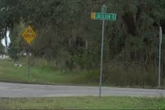 The Woods is paving over part of the Myakka watershed, in spite of the comp plan specifically advising not to do that