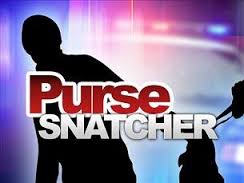 Email To The Venice Scoop – Publix to take disciplinary action against hero that stopped a purse snatching