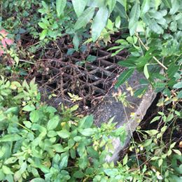 Email To The Scoop News – Why Is The County Ignoring Issues Along Alligator Dr