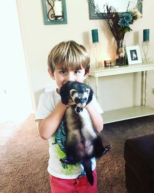 Neighbor finds lost pet and gives it away via Craig’s List.  Not very neighborly……