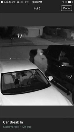 Help us ID this car burgelar in Stoneybrook – Letter to The Scoop News w Francesco Abbruzzino
