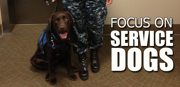 Marine reservist’s emotion support dog is not welcomed by Sarasota Landlord.  Please help us! – Email to the Scoop News