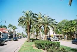 Venice City Council decides a promenade may be nice, but forget the one way traffic and bike lane concepts