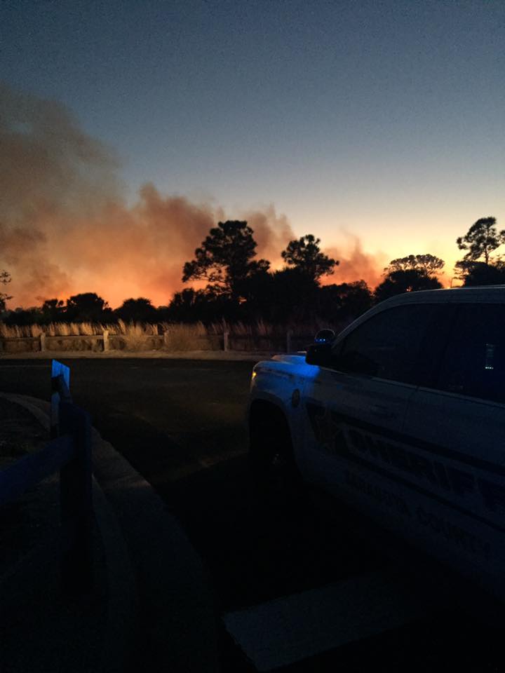Video Report and Pics: Brush fire near Shamrock Park in Venice.  Still some hot spots out there