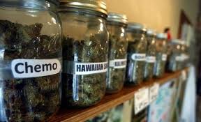 The Scoop News Video Report – North Port takes on Medical Marijuana dispensary buffer zones 