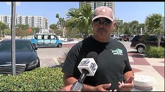 Video Report Potential plastic bag ban for Sarasota  