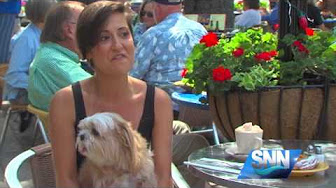 Video Report: Pet-friendly restaurants in Sarasota bring your pets out of the house – SNN