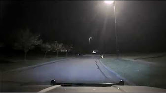 Video: Oh Deer! Police in Westerville, Ohio caught these “street fighting deer” on dash cam while on patrol.
