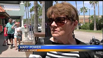 Video Report:  Venice tightening the rules when it comes to doggie dining – WWSB