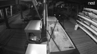 ** Please Share** Sarasota Police: Bicycle Theft – Attempt to Identify / Case 17-019315 