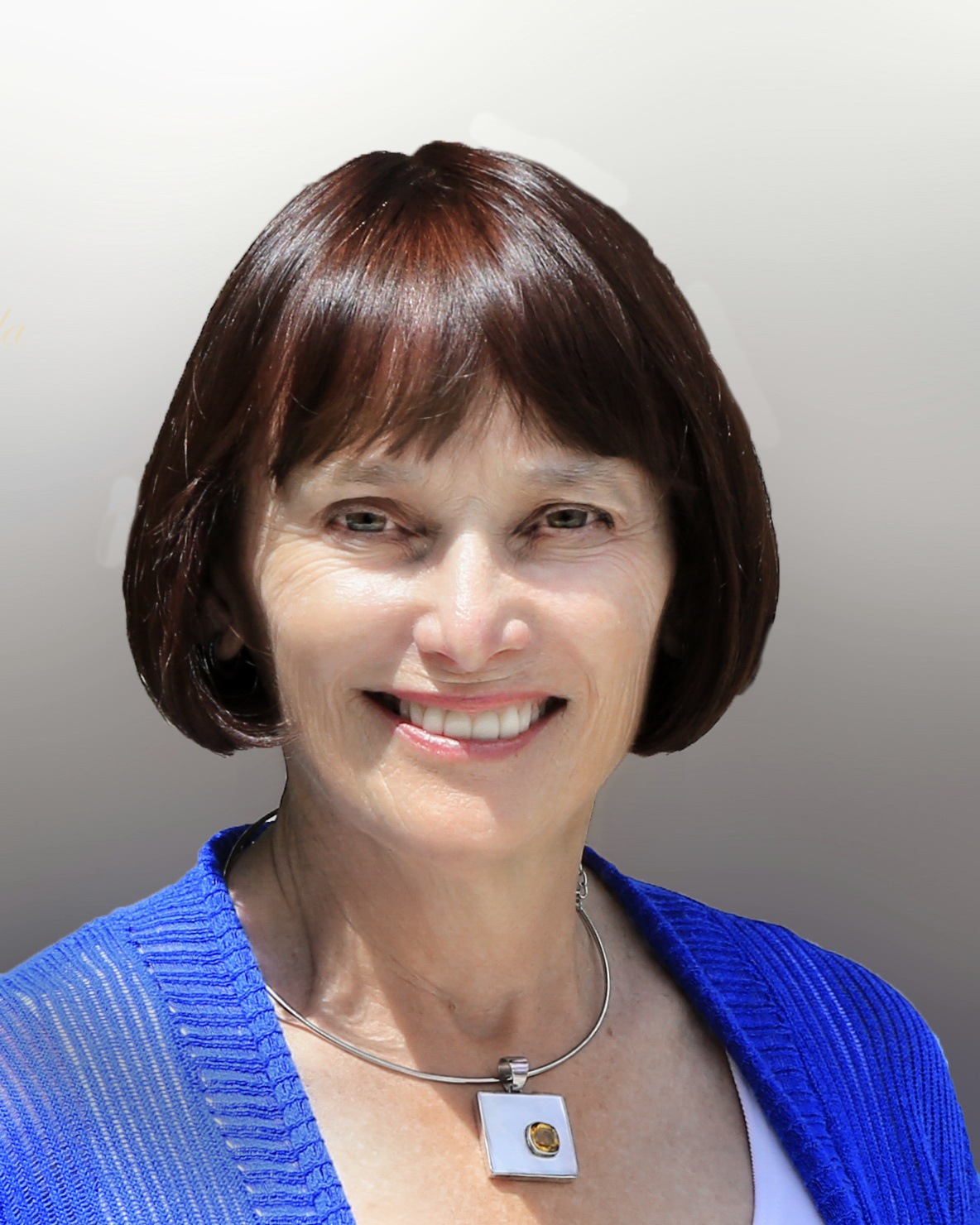 MITZIE FIEDLER, VENICE CITY COUNCIL CANDIDATE, LAUNCHES WEBSITE