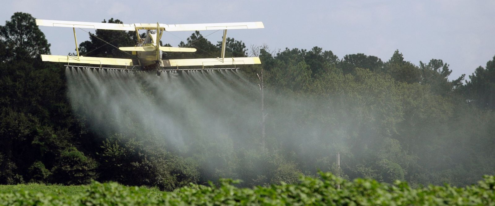 House approves bill seeking to upend EPA pesticide rule 