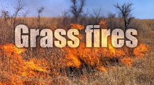 Sarasota County Fire acts quickly to snuff out a grass fire on Siesta Beach.  