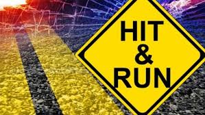 ** Please Share**  The Scoop News Video Report: Hit and run on Alligator Rd in Venice  