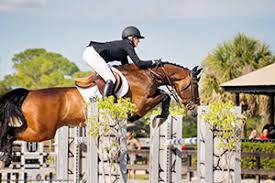 Angela Covert Shines at Fox Lea Farm Spring Concours II in Venice, FL  