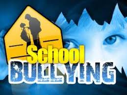 Is there a problem with bullying at schools within Sarasota County and if so, what can be done about it?