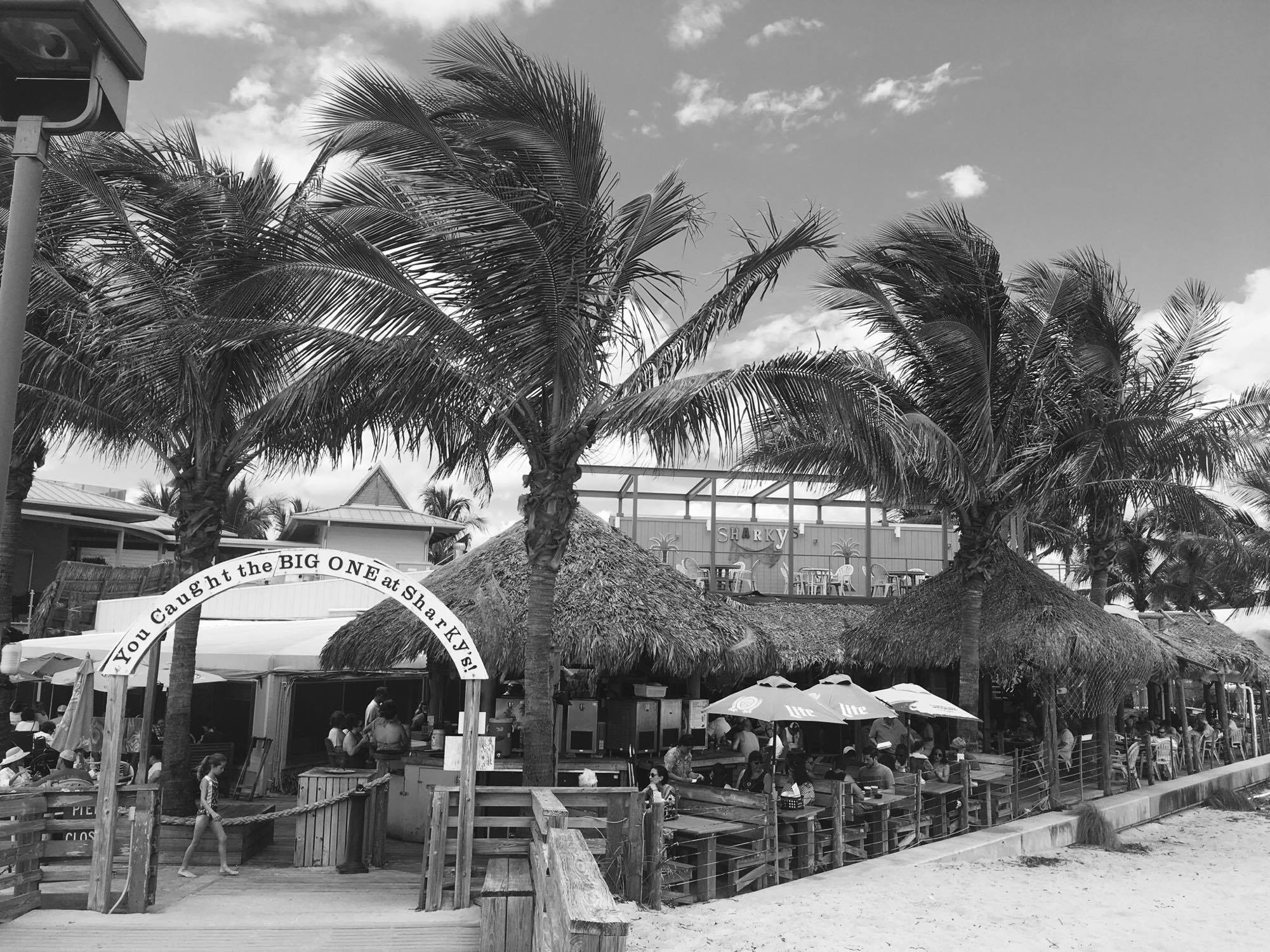 The Scoop News Live Interview – Sharky’s celebrating finishing #4 in the Florida Best Beach Bars competition