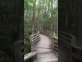 #TodaysViralVideo Tina Dorschel had a scare of her life while visiting Corkscrew Swamp Sanctuary in Naples