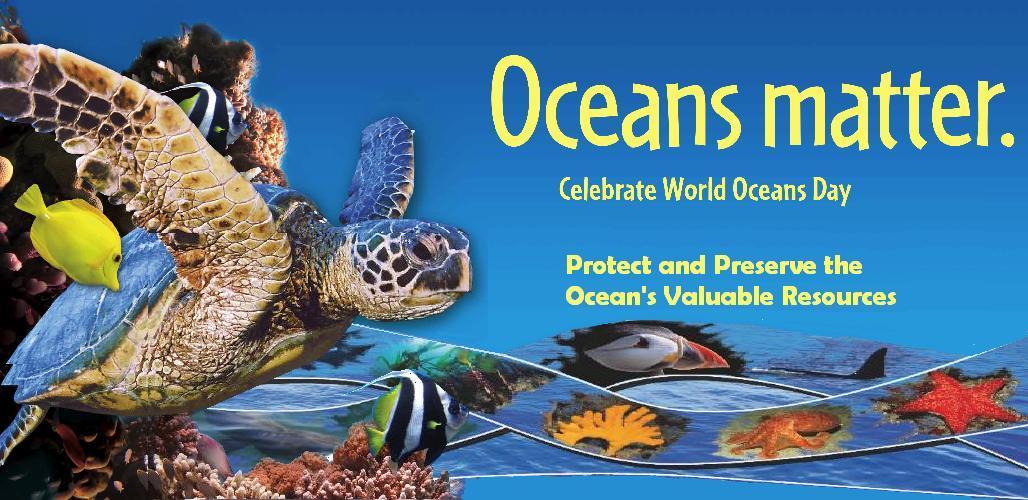 June 2-4: Mote to hold give-a-thon in honor of World Oceans Day 