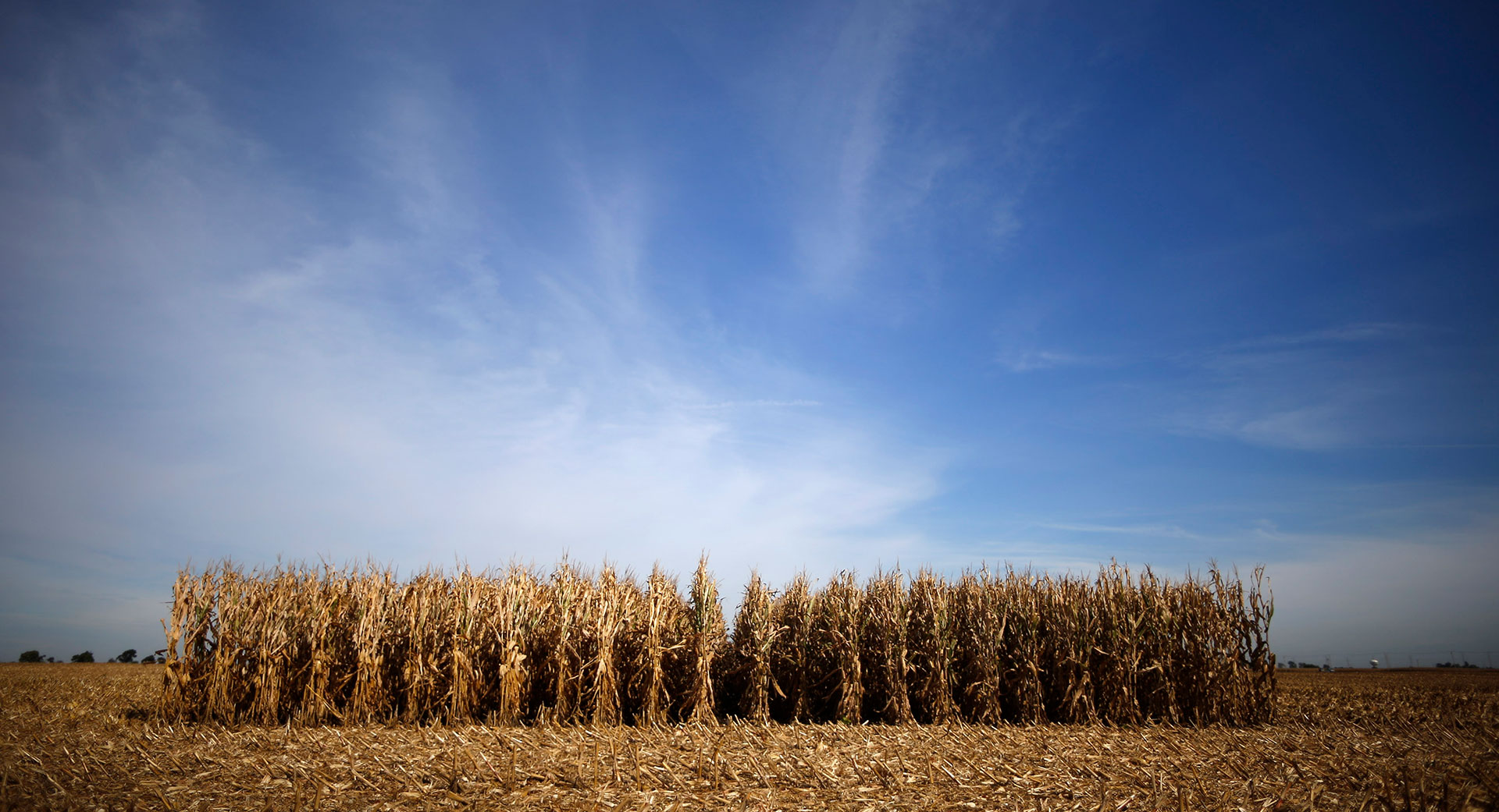 The WHO’s cancer agency left in the dark over glyphosate evidence