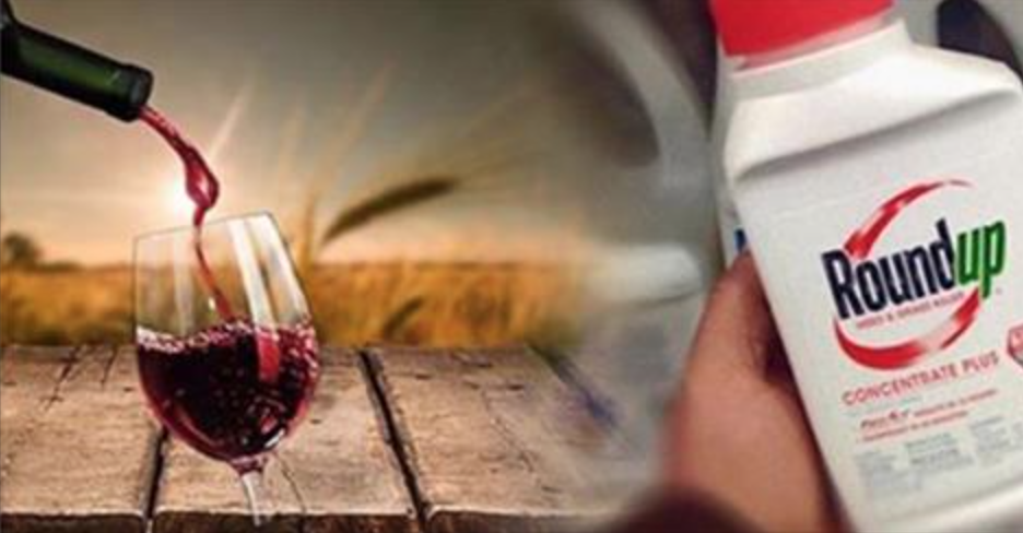 Monsanto’s Toxic Chemical Found in 100% of These Wines  
