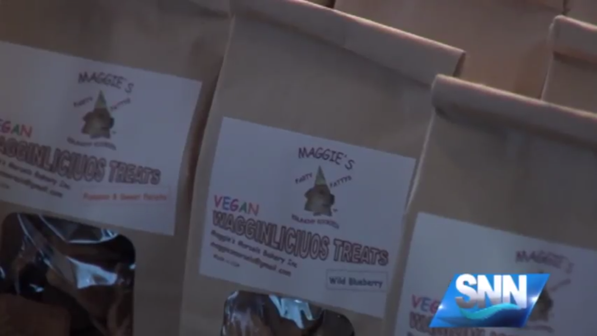 Video Report: Local Sarasota Couple Makes Healthy Dog Treats – SNN