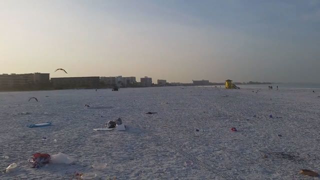 Video Report: Siesta Key beach trashed after Memorial Day weekend | FOX 13  