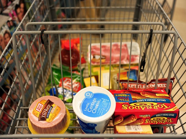 13 Alabama Counties Showed 85% Decrease in Food Stamps After Work Requirements Were Reinstated 