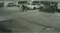Video: Sarasota Police: Attempt to Identify Bicycle Theft Suspect  